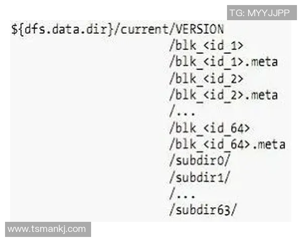 足球明星卡拍卖历史纪录查询平台与数据分析方法解析